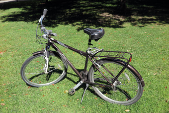 Schwinn on sale solitaire bike