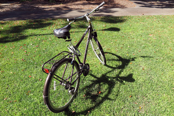 Schwinn best sale solitaire bike