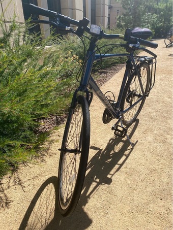 Stanford bike clearance sale