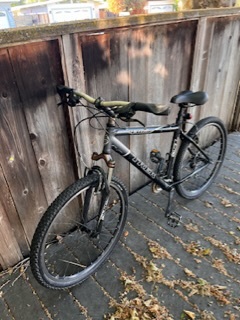 Mountain 2024 bike $250