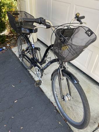 Electra discount townie basket