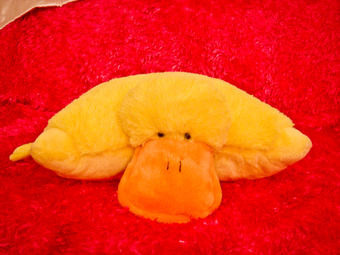 Pillow sale pets duck