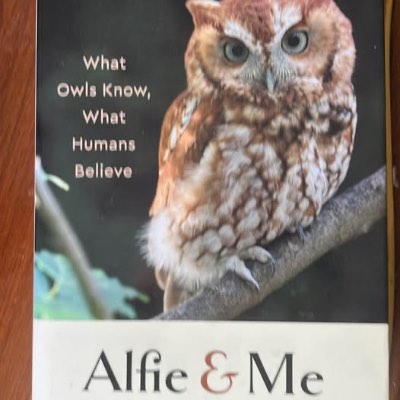 Alfie & Me by Carl Safina - What Owls Know, What Humans Believe 1