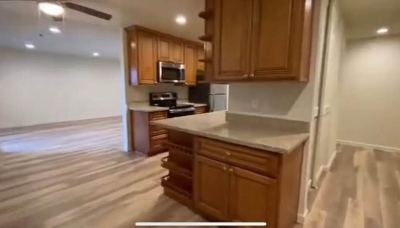 Spacious single bedroom in 3B2B apartment 4