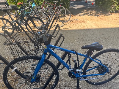 Bicycle for sale 1