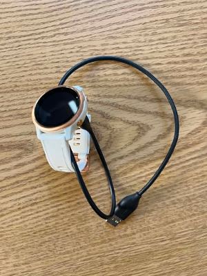 Garmin Fenix 6s pro running or sports watch (originally $500+) 1
