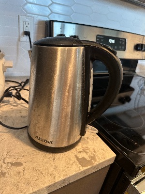 (SOLD) Electric Kettle 1