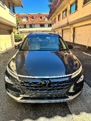 2020 HYUNDAI Nexo Limited 1