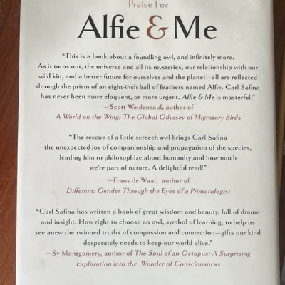 Alfie & Me by Carl Safina - What Owls Know, What Humans Believe 2