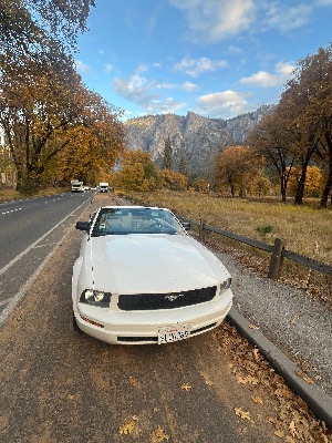 Ford Mustang 2008 Convertible ~85,000 miles 1