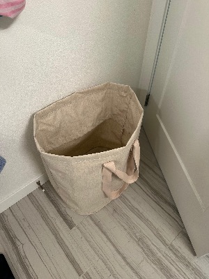 Laundry bag 1