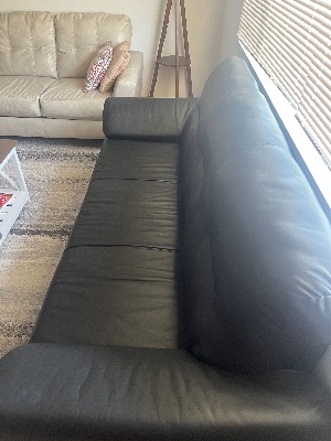 Free Couches 2