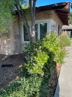 Two bedroom, one bath cottage for rent in unincorporated Menlo Park 1