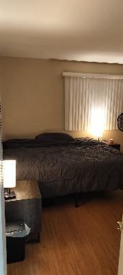 Fully Furnished Private 1-Bedroom Apartment for Sublease — Entire Unit 3
