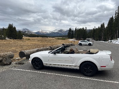Ford Mustang 2008 Convertible ~85,000 miles 3
