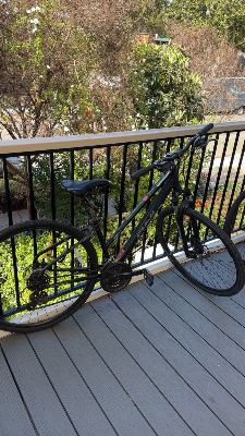 Selling brand new Bike - FUJI 1