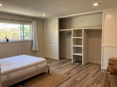 Spacious single bedroom in 3B2B apartment 1