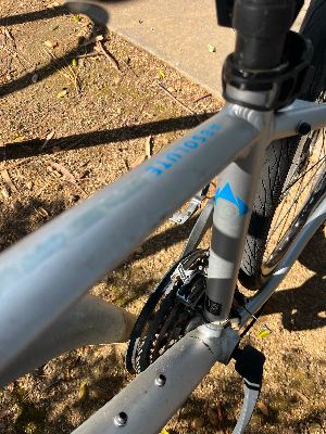 Small womens fuji absolute bike 2